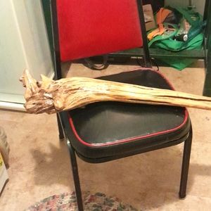 Driftwood,from the Columbia river